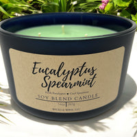 Eucalyptus Spearmint 3 Wick Candle