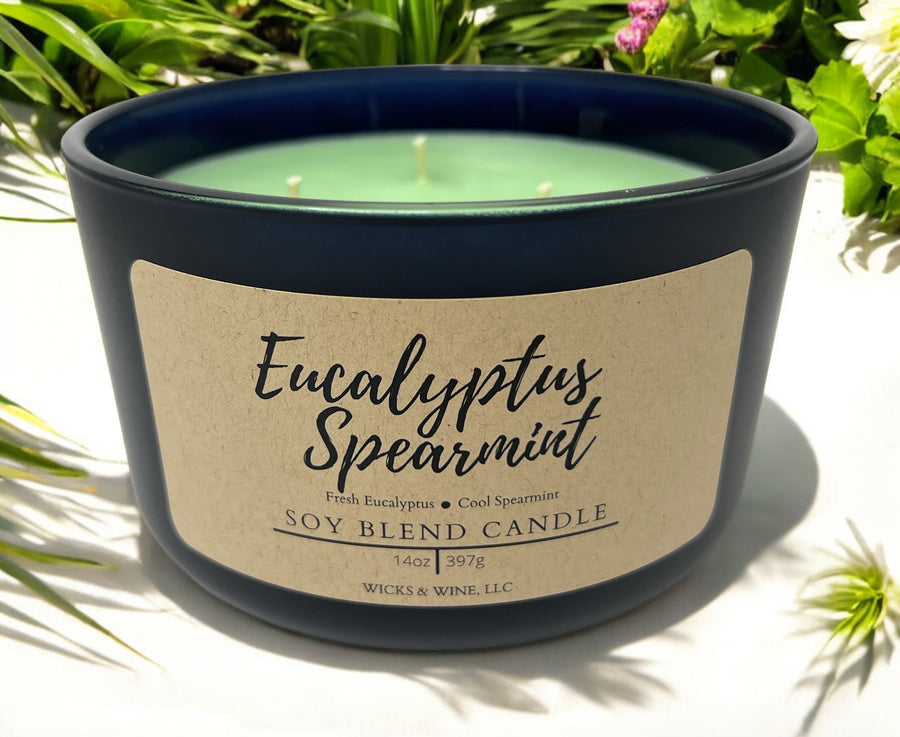 Eucalyptus Spearmint 3 Wick Candle